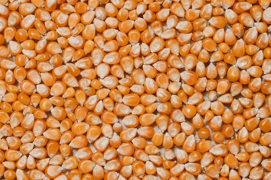 Golden corn kernels