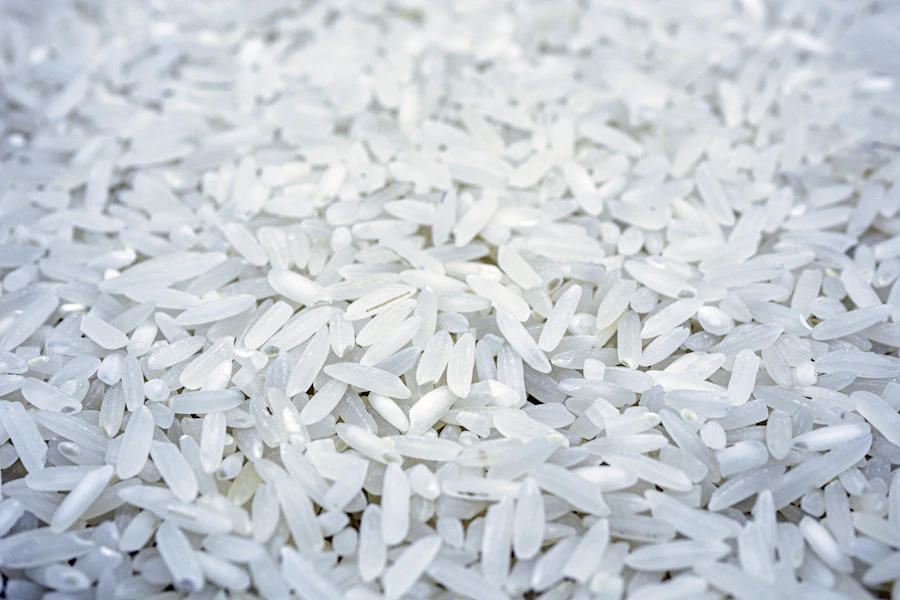 Rice grains representing the source of rice bran oil