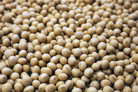 Pale golden soybeans